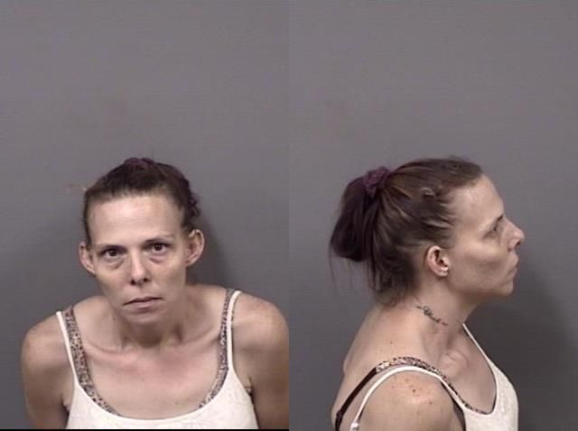 Finesha McNett arrested June 27 on an active warrant for misdemeanor charges of cruelty to animals and unhealthy public nuisance.